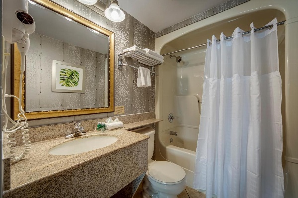 Monte Carlo Inns - Vaughan Suites image 3