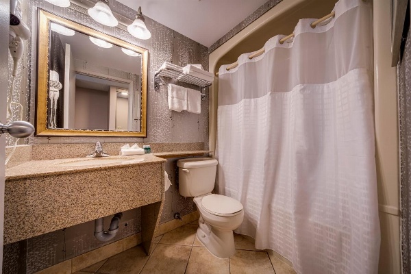 Monte Carlo Inns - Vaughan Suites image 5